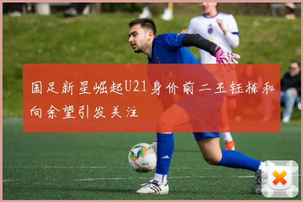 国足新星崛起U21身价前二王钰栋和向余望引发关注